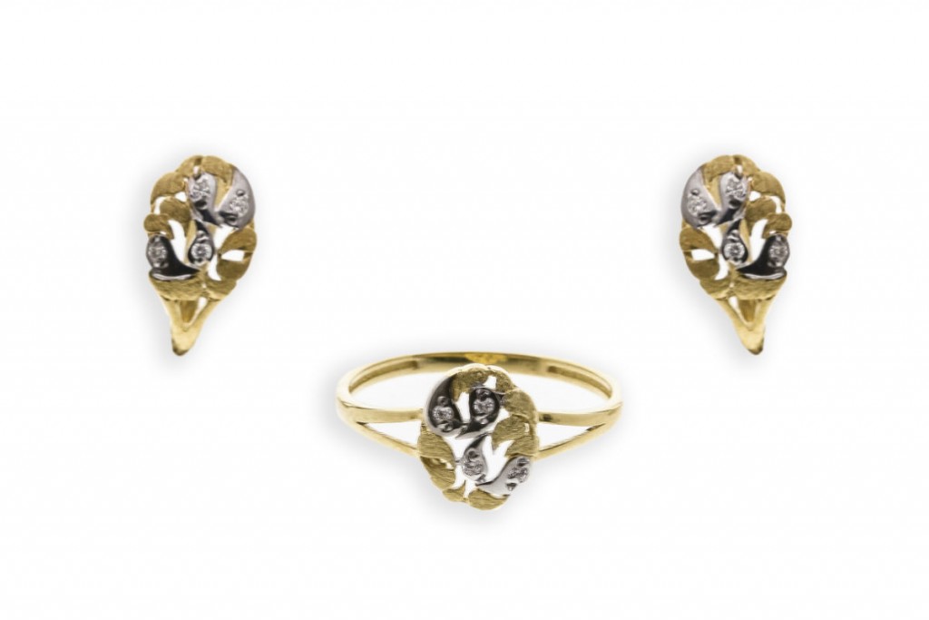 Dijoval _MG_1514 copia