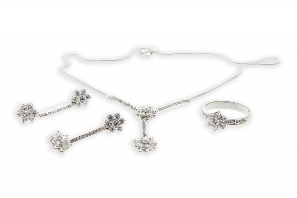 Dijoval _MG_1605 copia